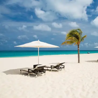 196451613_4236515539743374_3051198484777631647_n